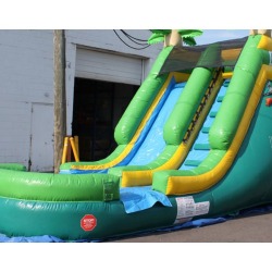 W 351 Palm Tree Slide 4 14ft Tropical Water Slide $250