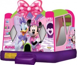 Minnie Mouse Combo  $180