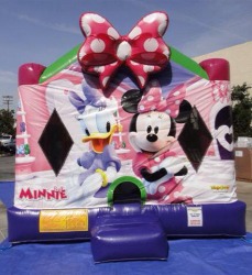 MinnieMouse2 363970 Minnie Mouse Combo $180